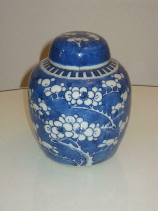 Stunning Antique 19th Century Chinese Kangxi Porcelain Prunus Lidded Jar
