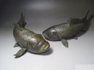 1 Pair (two) Ancient Japan Pure Bronze Sculpture Vivid Cyprinoid Carp Fish