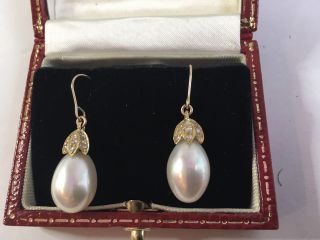 Tear Drop Large Pearls 15 K Gold Rose Cut Diamond Earrings Finest Quality.  F.  S
