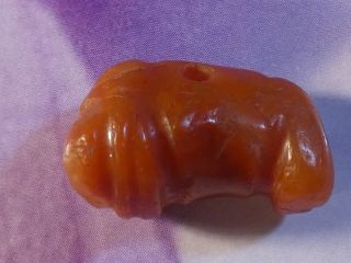 Ancient Pre - Columbian Tairona Red Agate Grub Gusano Rare Bead 18.  2 By 11 Mm