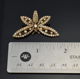 BROOCH 14K Yellow Gold Diamond & Pearl Butterfly Pin - Vintage Estate Jewelry 5