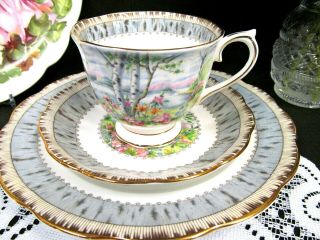 Royal Albert Tea Cup And Saucer Trio Silver Birch Pattern Teacup Tree Floral