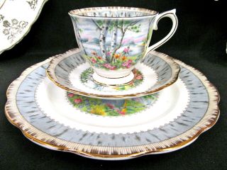 ROYAL ALBERT tea cup and saucer trio silver Birch pattern teacup tree floral 2