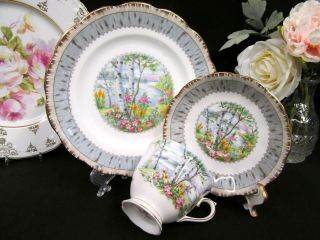ROYAL ALBERT tea cup and saucer trio silver Birch pattern teacup tree floral 3