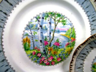 ROYAL ALBERT tea cup and saucer trio silver Birch pattern teacup tree floral 4
