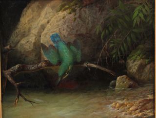 Pr Antique 19thC Realist Ornithology Oil Paintings KINGFISHER & SANDPIPER Bird 11