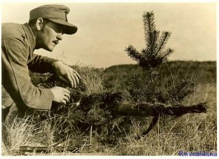 Press Photo: Rare Wehrmacht Scharfschütze (sniper) Prone In Field Taking Aim