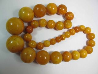 Antique Round Egg Yolk Baltic Amber Necklace W/ 30 - Mm Center Bead 137.  5 Grams