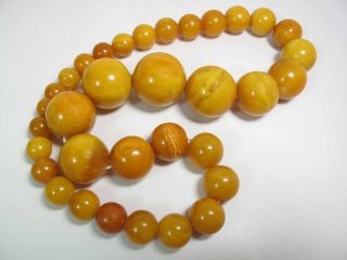 Antique Round Egg Yolk Baltic Amber Necklace w/ 30 - MM Center Bead 137.  5 Grams 3