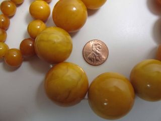 Antique Round Egg Yolk Baltic Amber Necklace w/ 30 - MM Center Bead 137.  5 Grams 6