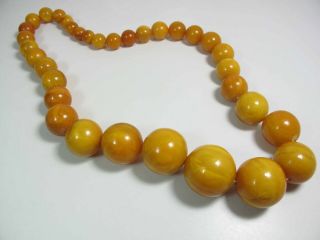 Antique Round Egg Yolk Baltic Amber Necklace w/ 30 - MM Center Bead 137.  5 Grams 9