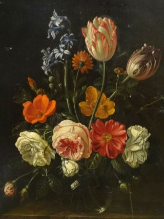 Fine 17th 18th Century Dutch Old Master Still Life Flowers Antique Oil Painting 3