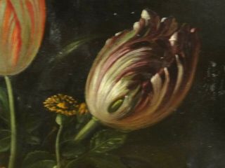 Fine 17th 18th Century Dutch Old Master Still Life Flowers Antique Oil Painting 9