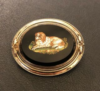 Antique Micro Mosaic Cocker Spaniel With Gold Clasp On Back - Brooch Or Pendant