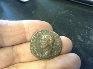 Marcus Agrippa Ae As Under Caligula Ancient Roman Coin 27.  87 Mm 10.  3 Grams