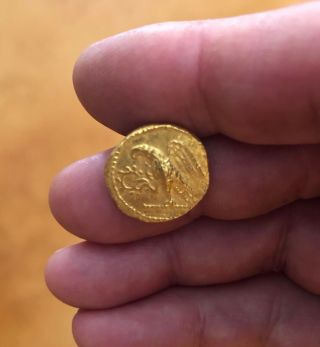 Ancient Koson Solid Gold Stater Thrace 1st Century BC 2