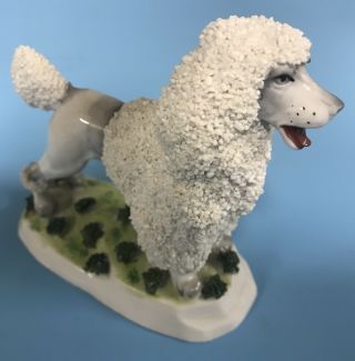 Vintage German Porcelain Poodle 2