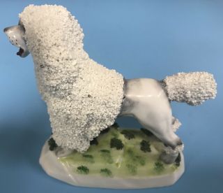 Vintage German Porcelain Poodle 3