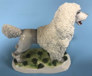 Vintage German Porcelain Poodle 4