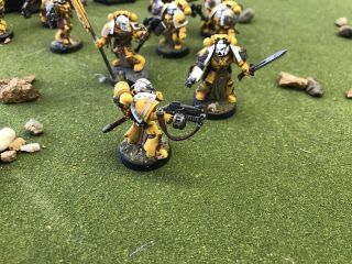 Warhammer 40k,  10 Imperial Fist Space Marine Veterans Lieutenant/Captain/Ancient 4