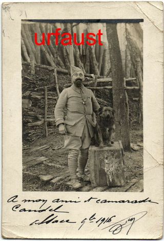 French Wwi Soldier With Comrade Dog 1916 Photo