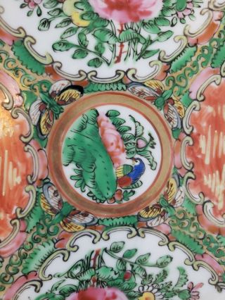 Antique Chinese Porcelain Rose Medallion Plate Jingdezhen China 3 2