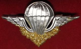 Cambodia Special Forces Commando Paratrooper Airborne Jump Wings Medal Badge Pin