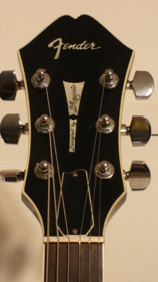 Rare Fender Masters Series MIJ Jazz Guitar,  D ' Aguisto Std.  hollow - body (9.  5, ) 2