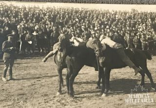 Postcard 4th Cdn Division Sports DOMINION DAY 1916 Wrestling on Horses (17590) 2