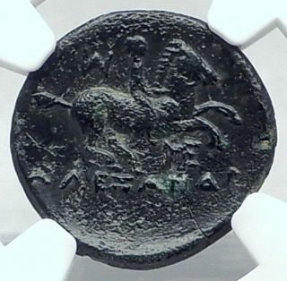 Alexander Iii The Great Ancient 323bc Greek Coin Apollo Horse Man Ngc I78431