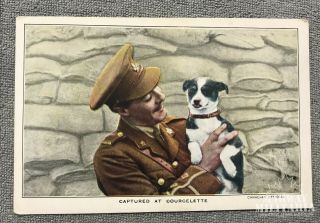 Postcard Ww1 Era,  Canadian Officer Dog Mascot (captured At Courcelette) (17695)