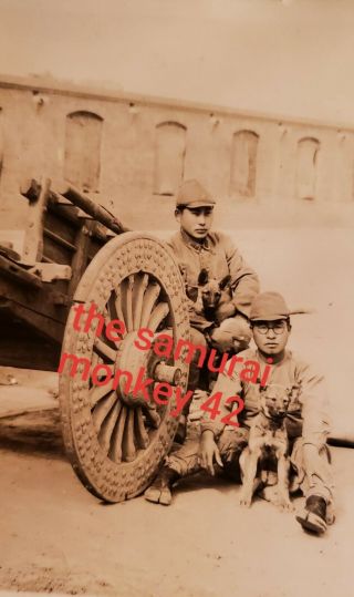 Ww2 Japanese Photo Of Japanese Soldiers Right Next To Cannon And Dogs