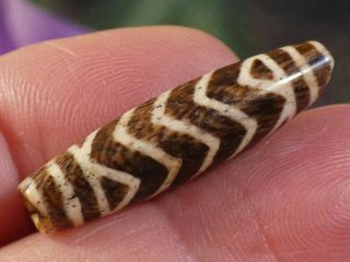 ANCIENT PUMTEK PYU BEAD  5 ZIG ZAG TIGER 