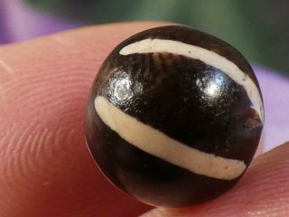 Ancient Etched Agate 6 Stripe Pyu Pumtek Indo Tibetan Samon Dzi Quality Bead Top