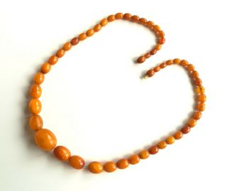 30 Grams Vintage Butterscotch Egg Yolk Natural Baltic Amber Necklace Beads