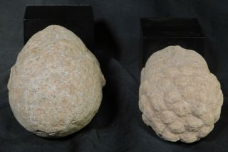 Vintage not ANCIENT Granite LImestone Buddha Heads Carved Natural Stone Bust 80s 7