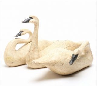 Hand Carved Wooden White Swan Decoys (set Of 3)
