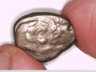 Asia Minor Lydia Sardeis Kroisos Silver Half Lion Bull Incuse Rare Ancient Coin
