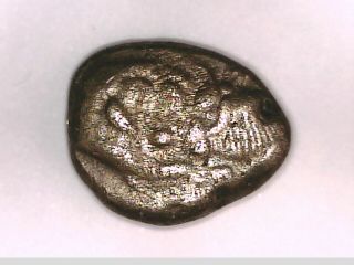 Asia Minor Lydia Sardeis Kroisos Silver Half Lion Bull Incuse rare ancient coin 2