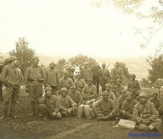 Port.  Photo: Rare Pic Group Turkish Soldiers Resting In Field W/ Horses; 1916