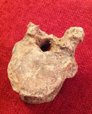 Old Ancient Dinosaur Bone Fossil Rare Vertebrae 2