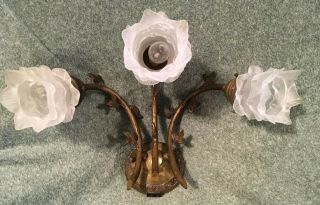 Art Nouveau 3 Glass Shades 3 Lilies Bronze Antique Wall Sconce