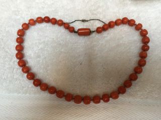 Victorian Large Red Coral Bead Necklace With Silver Safety Chain