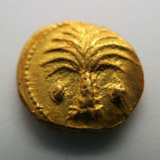 350 - 290 BC Carthage Zeugitana AV 1/10 STATER Ancient Coin GOLD Greek PALM Greece 4