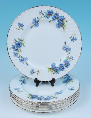 Set 6 Adderley Cornflower Swirl Dinner Plates Fine English Bone China Porcelain
