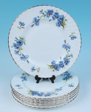 Set 6 Adderley Cornflower Swirl DINNER PLATES Fine English Bone China Porcelain 2