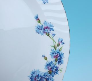 Set 6 Adderley Cornflower Swirl DINNER PLATES Fine English Bone China Porcelain 5