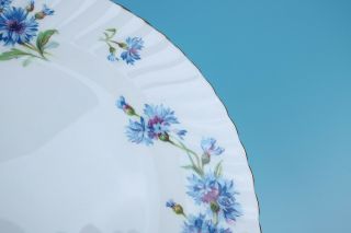 Set 6 Adderley Cornflower Swirl DINNER PLATES Fine English Bone China Porcelain 6