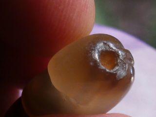 ANCIENT PYU KINGDOM BANDED CHUNG AGATE ELEPHANT AMULET BEAD RARE 23.  8 BY 15 MM 6