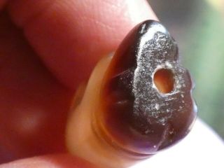 ANCIENT PYU KINGDOM BANDED CHUNG AGATE ELEPHANT AMULET BEAD RARE 23.  8 BY 15 MM 8